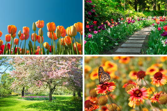 These Spring Trivia Questions Will Add a Burst of Fun to Your Season