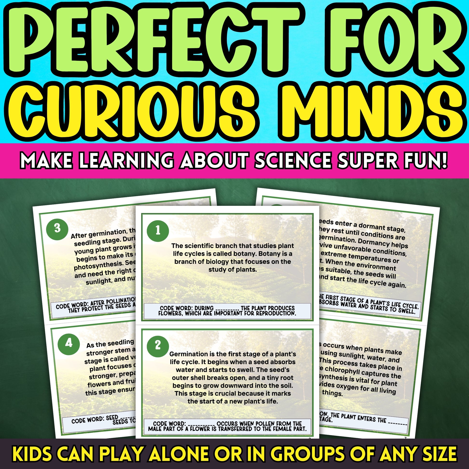 Plant Life Cycle Scavenger Hunt - This educational indoor activity is designed to ignite curiosity about how plants grow and develop, making it perfect for classroom instruction and at-home learning.