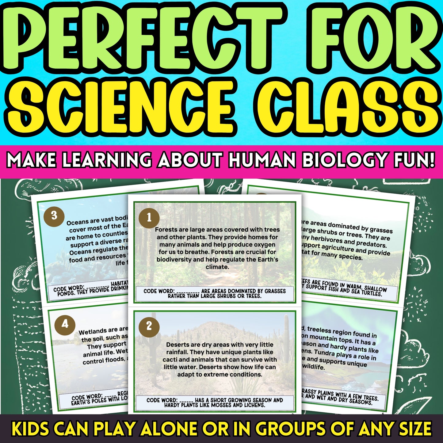Habitat and Ecosystems Scavenger Hunt Are you looking for a fun and engaging activity for kids to learn about the human body systems? Embark on an exhilarating journey through the Body Kingdom with this Body Kingdom Quest, crafted with love for children aged 8 to 11! This educational indoor activity is designed to ignite curiosity about how the human body works, making it perfect for classroom instruction and at-home learning.