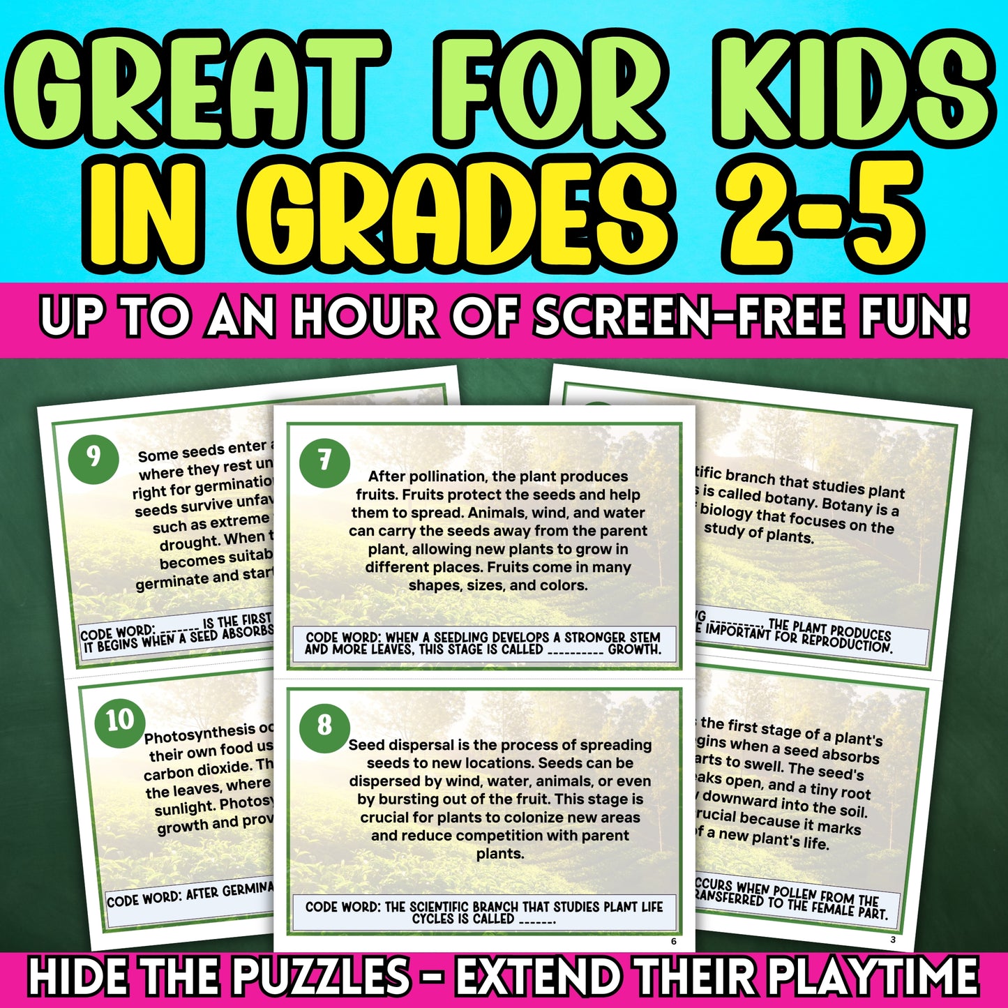 Plant Life Cycle Scavenger Hunt - This educational indoor activity is designed to ignite curiosity about how plants grow and develop, making it perfect for classroom instruction and at-home learning.