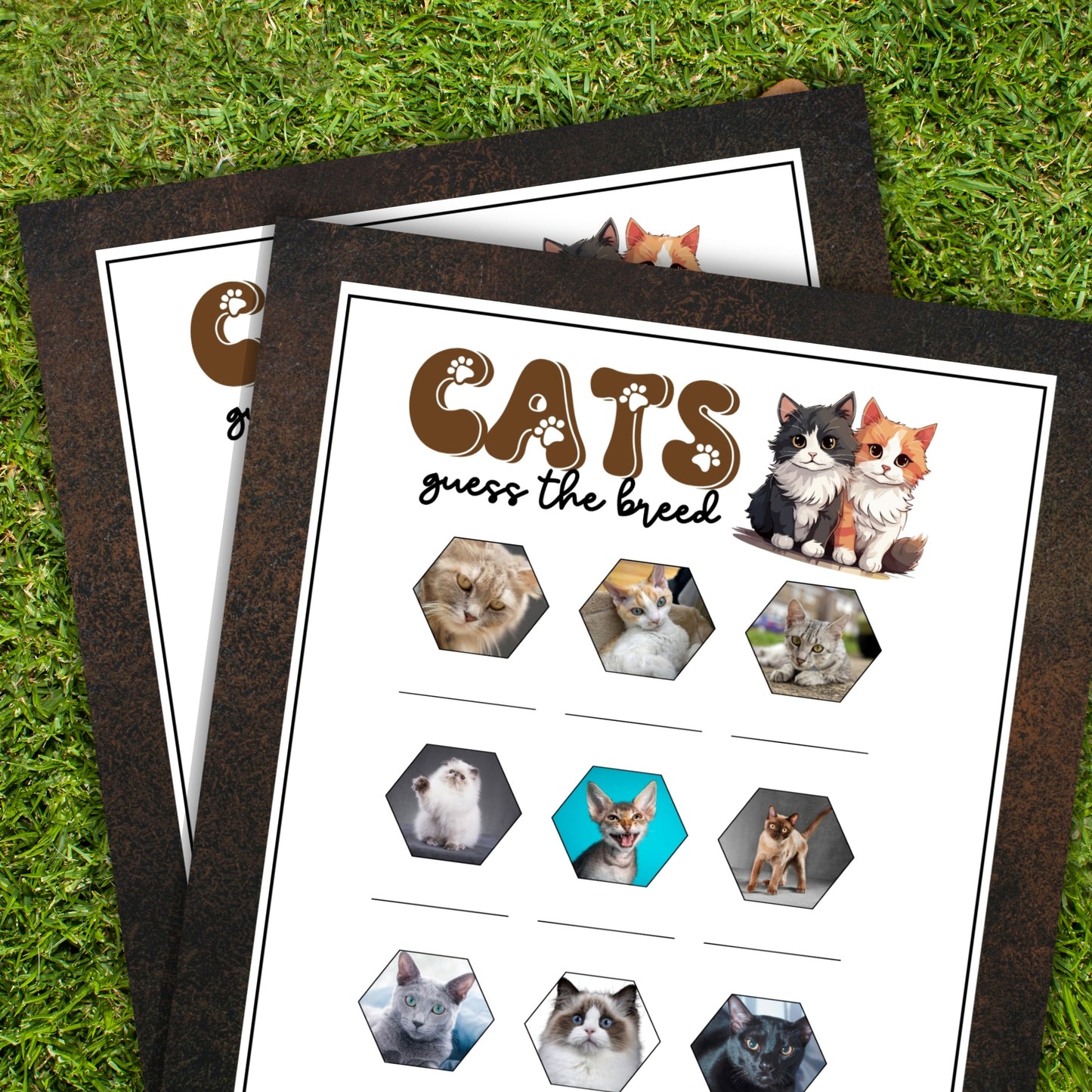 Guess The Cat Breed