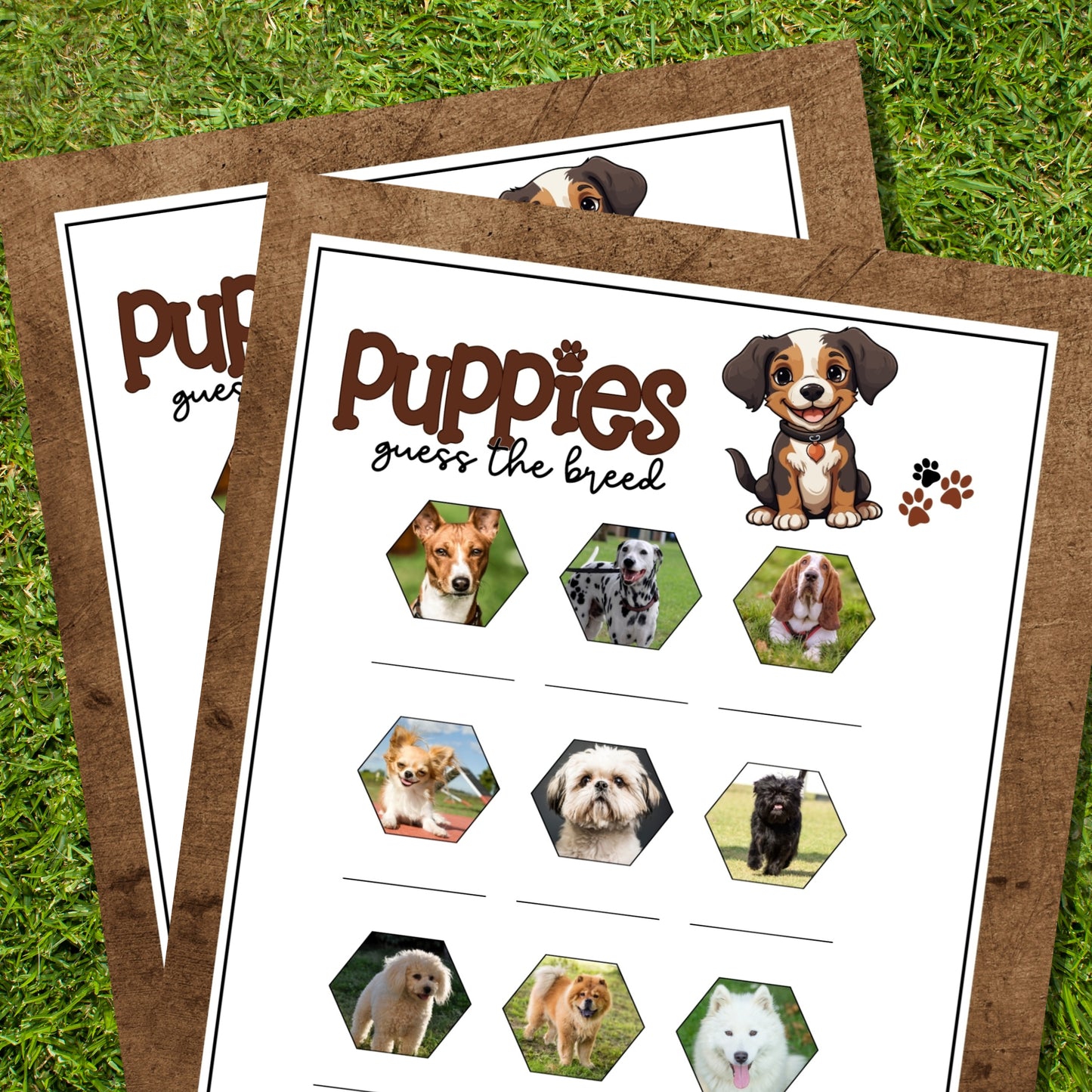 guess the dog breed game