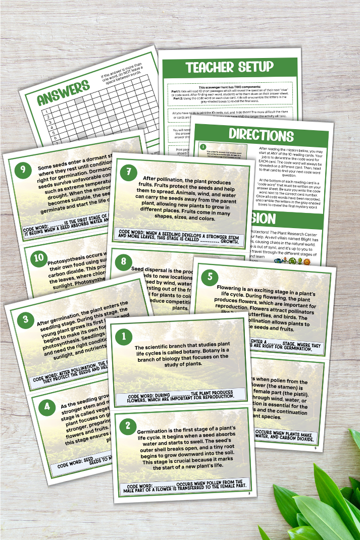 Plant Life Cycle Scavenger Hunt - This educational indoor activity is designed to ignite curiosity about how plants grow and develop, making it perfect for classroom instruction and at-home learning.