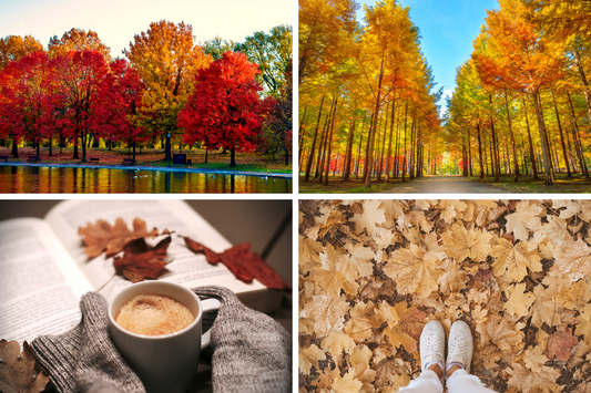 These Fall Trivia Questions Will Leaf You Smiling!