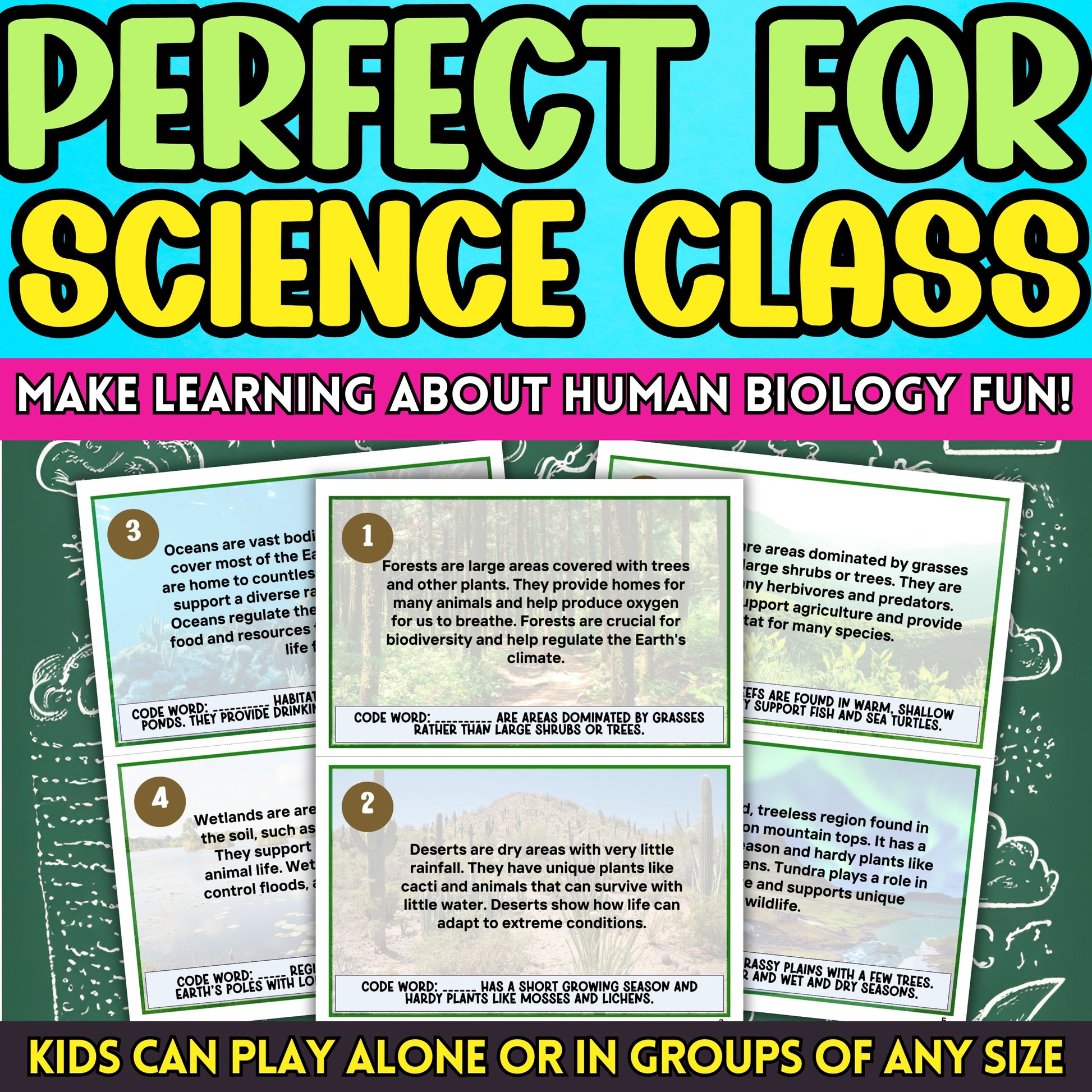 Habitat and Ecosystems Scavenger Hunt  Are you looking for a fun and engaging activity for kids to learn about the human body systems?  Embark on an exhilarating journey through the Body Kingdom with this Body Kingdom Quest, crafted with love for children aged 8 to 11!  This educational indoor activity is designed to ignite curiosity about how the human body works, making it perfect for classroom instruction and at-home learning.