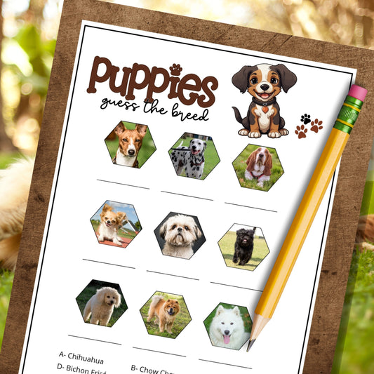 dog party games